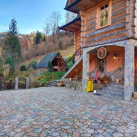 Serce Gorcow Охотница-Гурна Экстерьер фото