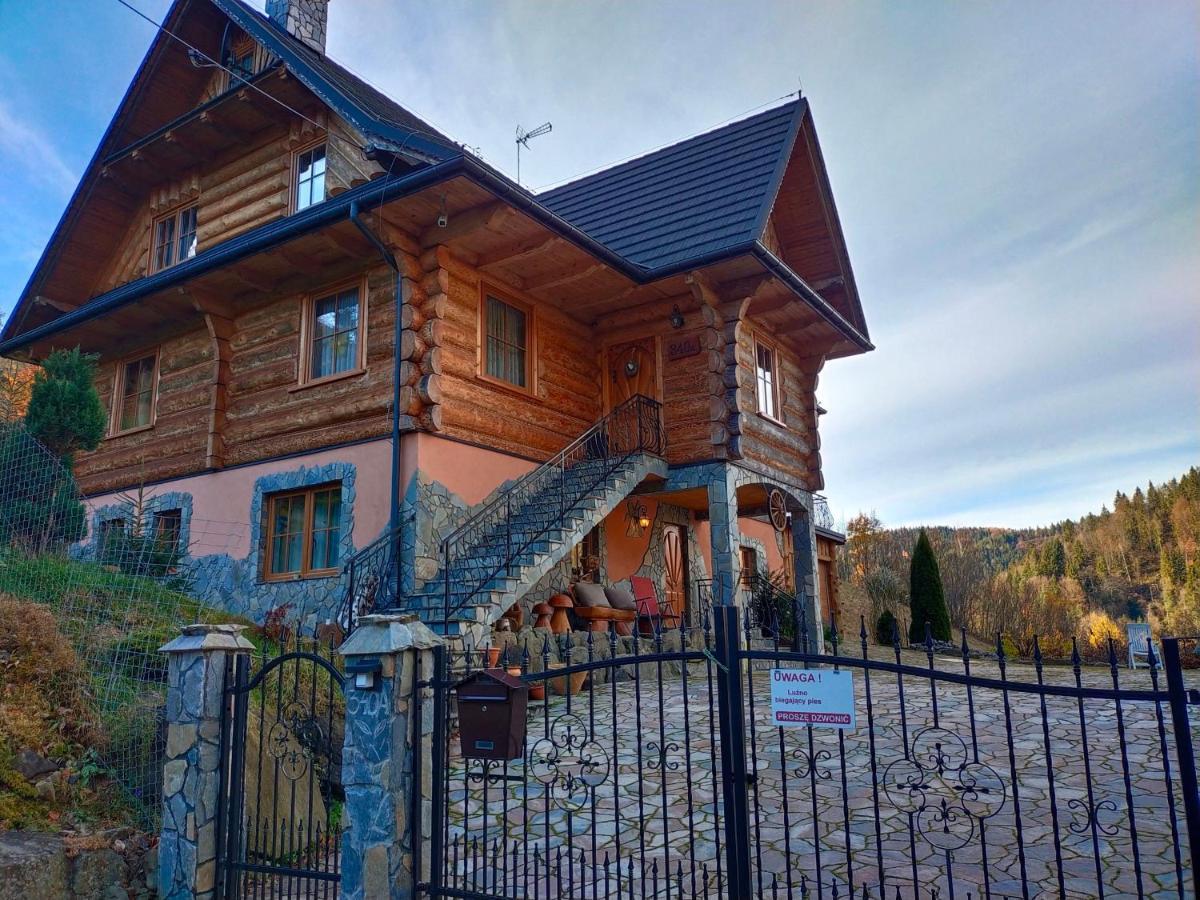 Serce Gorcow Охотница-Гурна Экстерьер фото